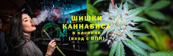 стафф Ладушкин