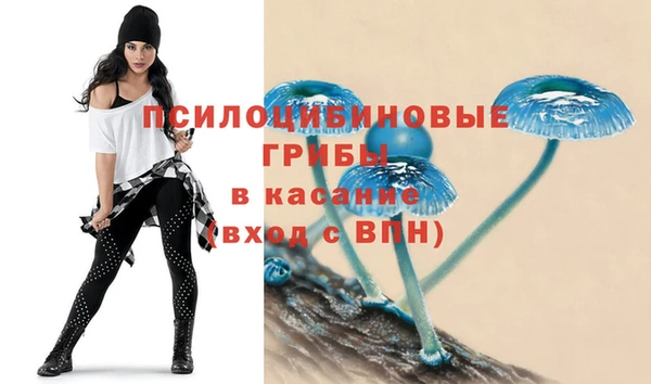 СК Лиски