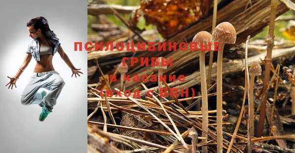 СК Лиски