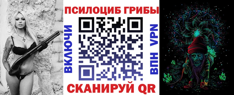 купить наркоту Рубцовск Псилоцибиновые грибы Psilocybe