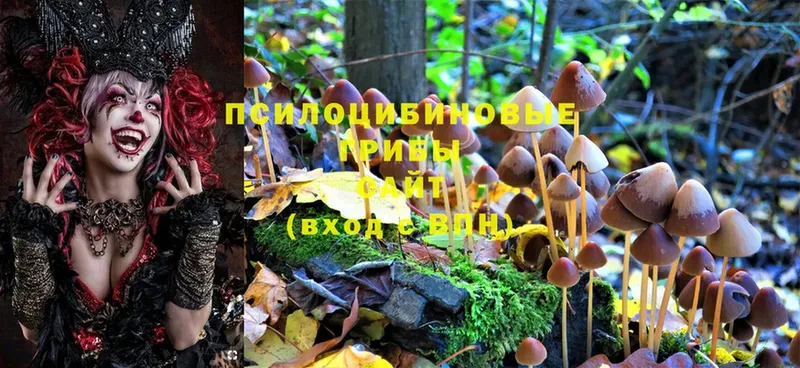 Галлюциногенные грибы MAGIC MUSHROOMS  blacksprut зеркало  Рубцовск 