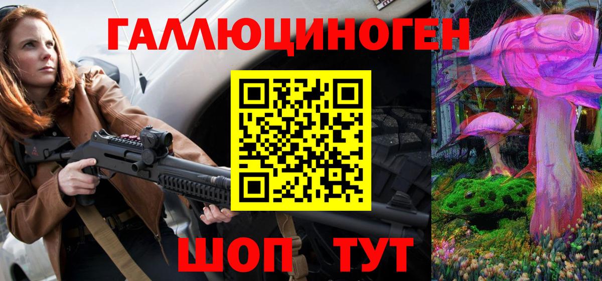 Галлюциногенные грибы Psilocybine cubensis Рубцовск
