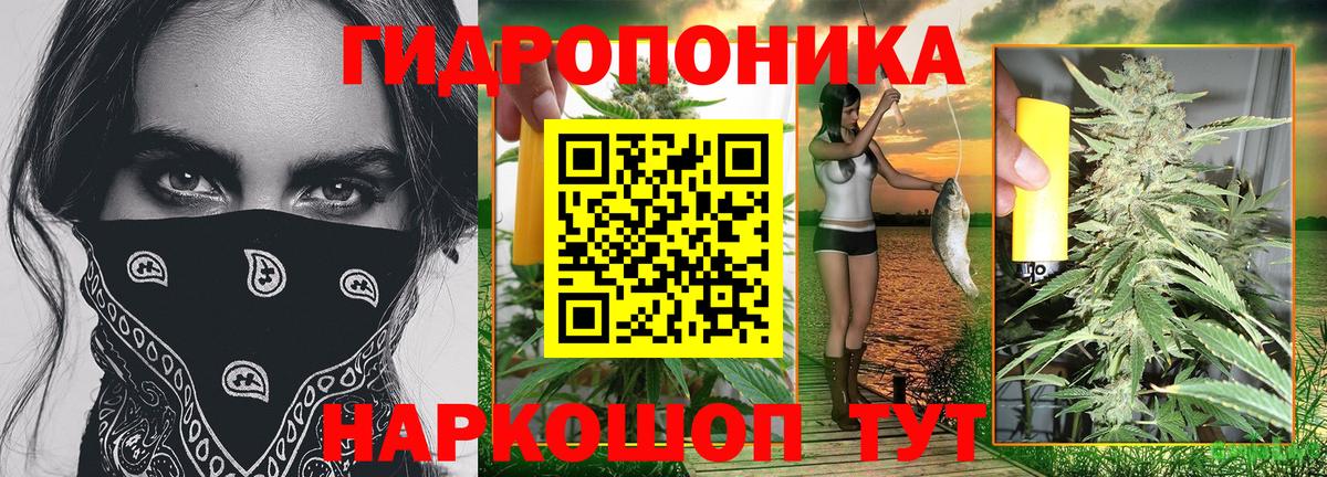 МАРИХУАНА тримм  Шишки марихуана Amnesia  Рубцовск  МАРИХУАНА Amnesia 